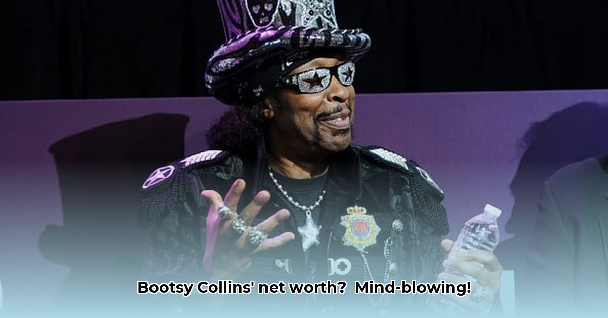 what-is-bootsy-collins-net-worth